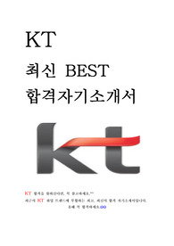 KT 경영관리 최신 BEST 합격 자기소개서!!!!