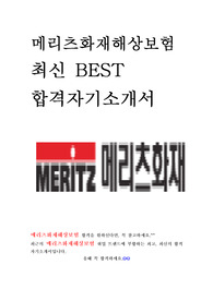 메리츠화재해상보험 사무지원직군 최신 BEST 합격 자기소개서!!!!