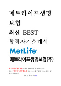 메트라이프생명보험 최신 BEST 합격 자기소개서!!!!