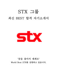 STX 그룹 자원개발 최신 BEST 합격 자기소개서!!!!