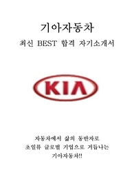 기아자동차 마케팅 상품 최신 BEST 합격 자기소개서!!!!