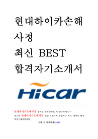 현대하이카손해사정 인턴 최신 BEST 합격 자기소개서!!!!