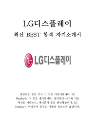 LG디스플레이 엘지디스플레이 최신 BEST 합격 자기소개서!!!!