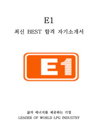 E1 최신 BEST 합격 자기소개서!!!!