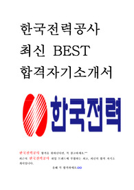한국전력공사 KEPCO 최신 BEST 합격 자기소개서!!!!