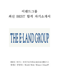 이랜드그룹 최신 BEST 합격 자기소개서!!!!