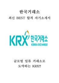 한국거래소 한국증권거래소 KRX 인턴 최신 BEST 합격 자기소개서!!!!