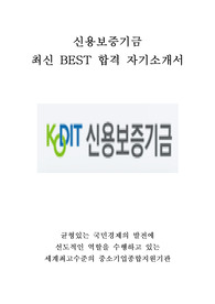 신용보증기금 KODIT 인턴 최신 BEST 합격 자기소개서!!!!