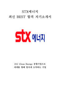 STX에너지 최신 BEST 합격 자기소개서!!!!