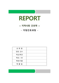 지역사회-가족간호사정(문허고찰, 사정, 계획, 수행,진단,평가 등)