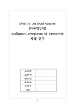 자궁경부암 케이스  uterine cervical cancer  case 간호과정 모성간호 여성간호 실습 OBGY 산부인과 실습