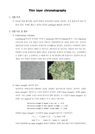 [식물약학실험]TLC(종이크로마토그래피)