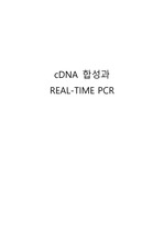 cDNA 합성과 REAL - TIME PCR