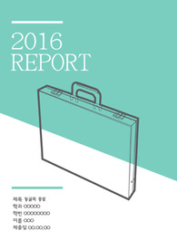 A+) 동굴의 종류 (레포트 표지포함/형성과정,사례)
