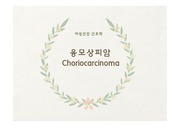 여성간호학 융모상피암(Choriocarcinoma) 문헌고찰 및 간호과정