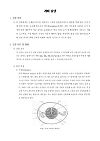 [일반생물학실험] 계배 발생
