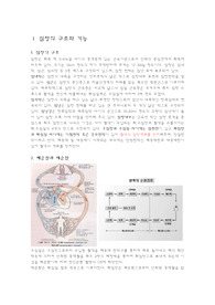 순환계 요약 - 심장의 구조와 기능, 성인간호학