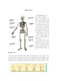 골절 및 정형외과학