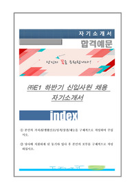 E1 하반기 신입사원 채용 자기소개서