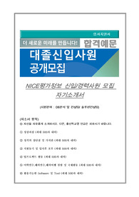 NICE평가정보 신입/경력사원 모집 자기소개서, (지원분야 : DB분석 및 컨설팅/ 솔루션컨설팅)