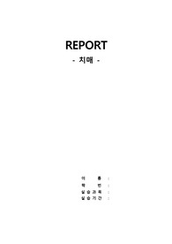 치매 레포트, 치매 문헌고찰
