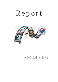 한류의 효과 및 문제점