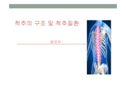 척추의 구조와 척추 질환