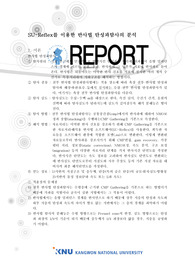 U-Reflex를 이용한 반사법 탄성파탐사의 분석