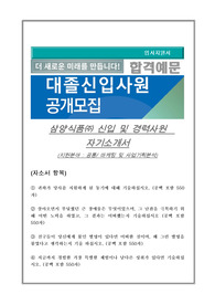 삼양식품 마케팅 및 사업기획분석 자기소개서