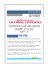 신한데이타시스템 IT 자기소개서
