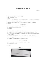초자기류 사용법 및 현미경 사용법