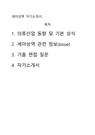 &lt;자기소개서, 간단 의류업계 현안분석&gt; 세아상역 해외영업부문 자기소개서 - 사례를 중심으로