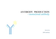 항체생성과정 영어발표, how to make antibody. antibody production, 생물영어 영어발표, 생명과학 영어발표, 분자면역학