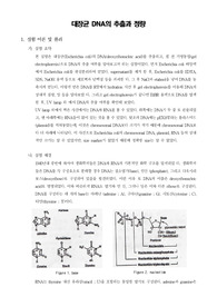 [일반생물학실험] 대장균 DNA의 추출과 정량