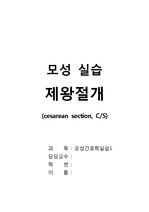A+ 모성 실습 제왕절개 (c/s) 문헌고찰 간호과정 2개