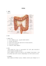 대장암, 직장암 간호, colon cancer