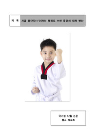 저급 유단자(1~3단)의 태권도 수련 중단의 대처 방안