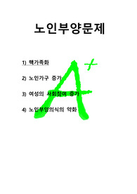 [노인학]노인부양문제