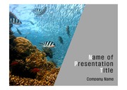 PPT양식 템플릿 배경 - 수중, 산호초1