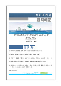 한국오츠카제약 신입/경력 공채 모집 자기소개서, MR지원