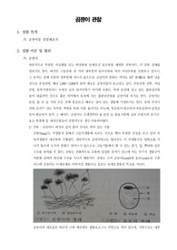 [일반생물학실험]곰팡이 관찰