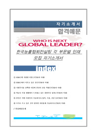 한국능률협회컨설팅 공개채용 자기소개서