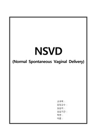 모성간호학 자연분만(NSVD) case