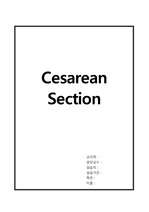모성간호학 제왕절개(Cesarean Section) case