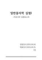 자유낙하 실험 보고서