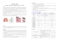 [A+] COPD Case, 만성폐쇄성폐질환 간호과정 믿을 수 있는 자료