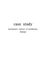 여성간호학 조기양막파수(PROM)case study