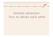 동물의 구애행동, Animals attraction