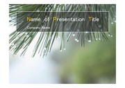 PPT양식 템플릿 배경 - 자연,빗방울 맺힌 나무잎1