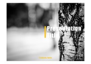 PPT양식 템플릿 배경 - 겨울, 자작나무숲